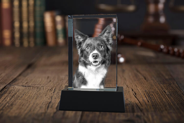 3D Photo Crystal rectangle with Dog's Face