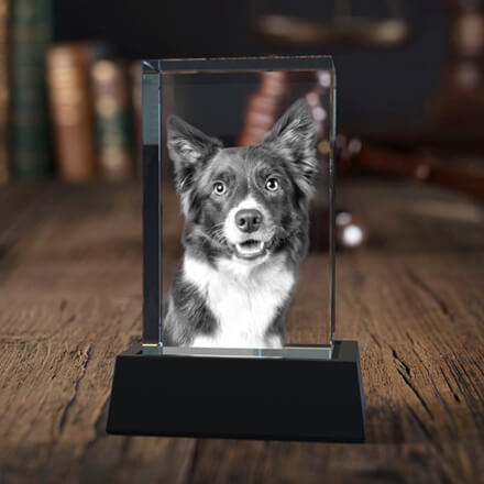3D Photo Crystal rectangle with Dog's Face